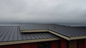 Roof Coating Services in North Pole, AK